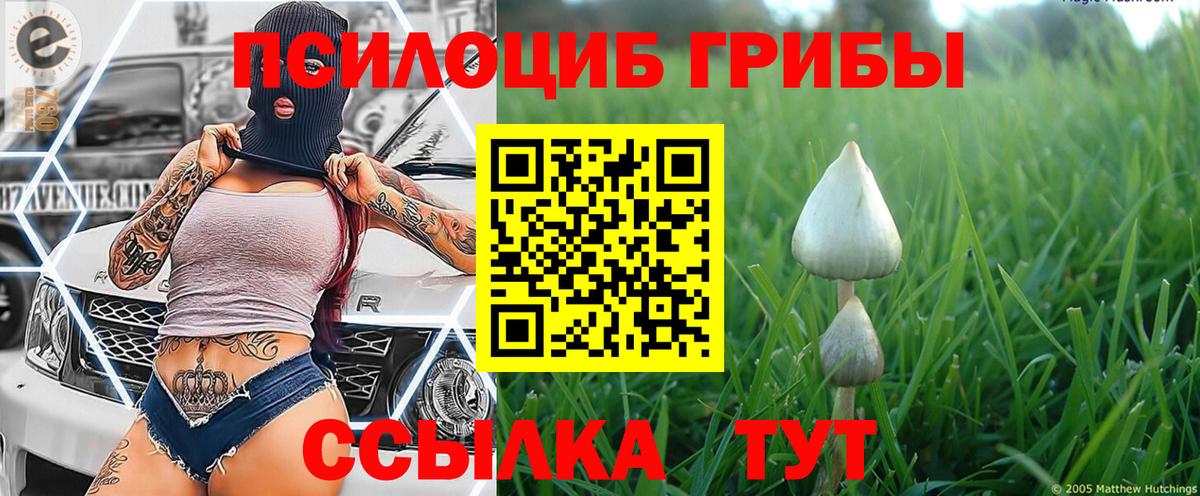 Галлюциногенные грибы Magic Shrooms  Вход с VPN  Кашира 